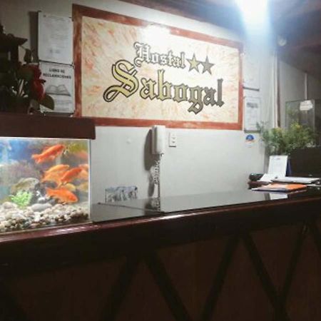 Hostal Sabogal カハマルカ エクステリア 写真